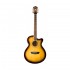 Guitarra Electroacustica Washburn EA12TS